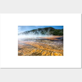 Miniature Forests on the Edge of Grand Prismatic Spring in Yellowstone National Park Posters and Art